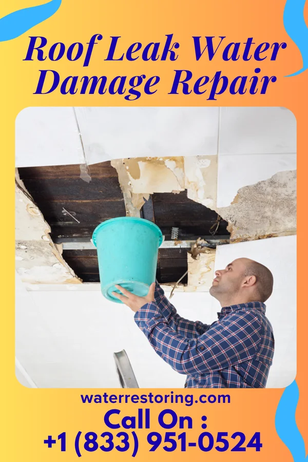 Roof Leak Water Damage Repair in Foxhome, MN